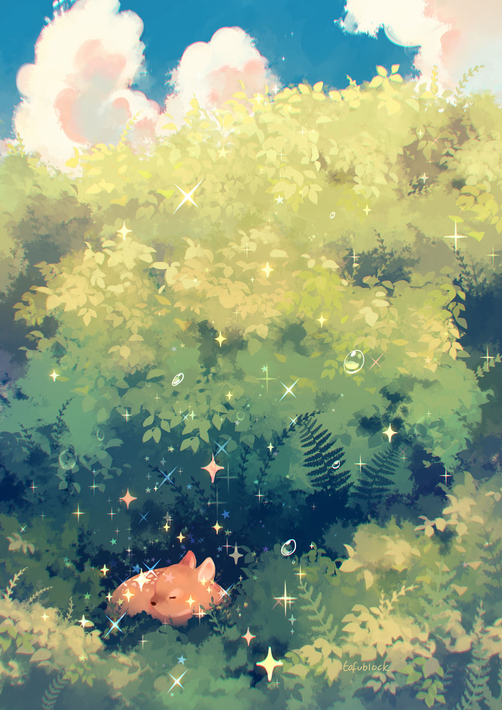 Animal & Animal Focus