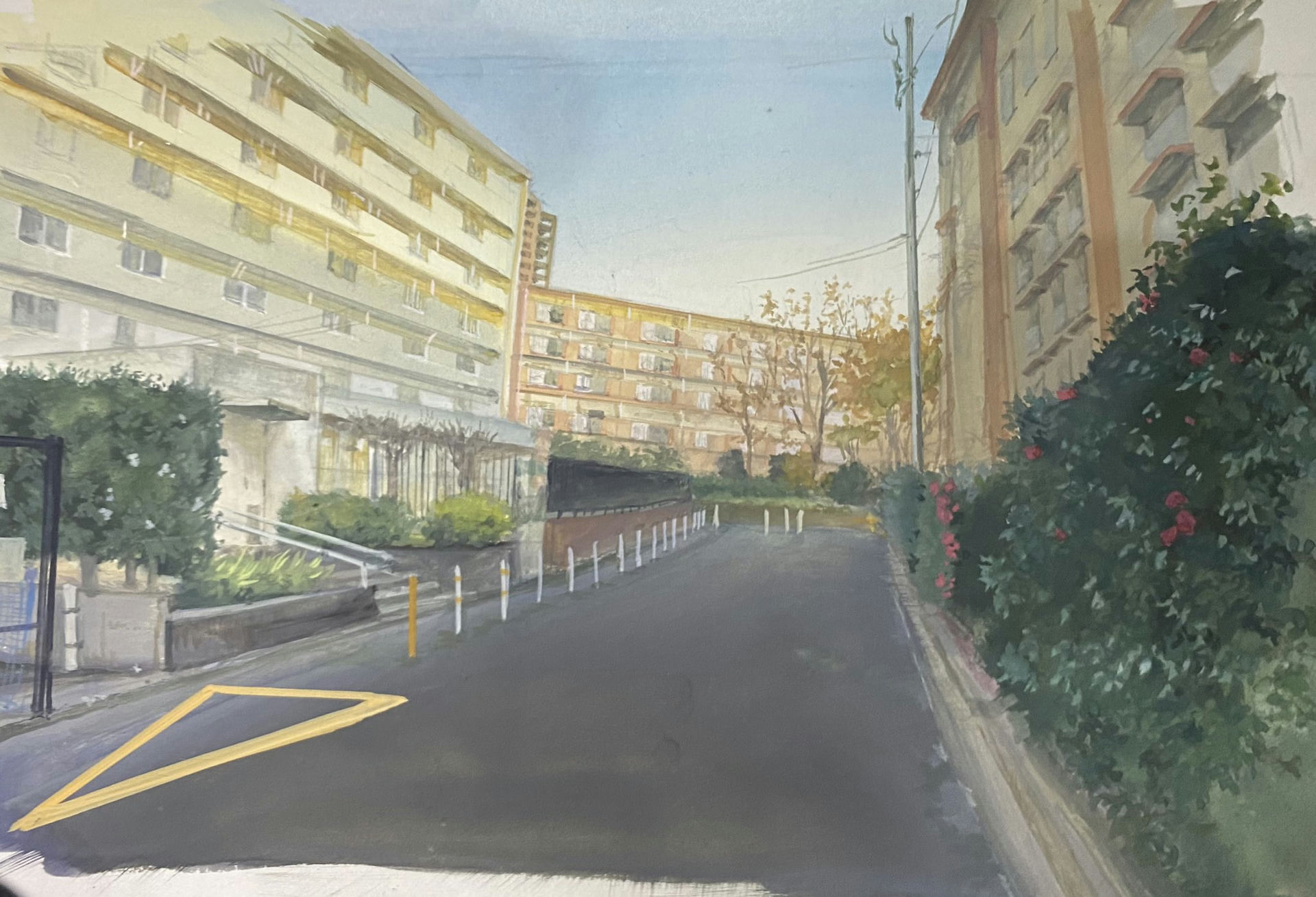 Apartment & Building