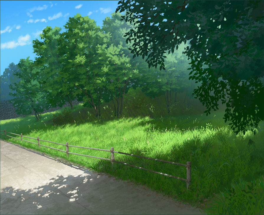Dirt Road & Fence