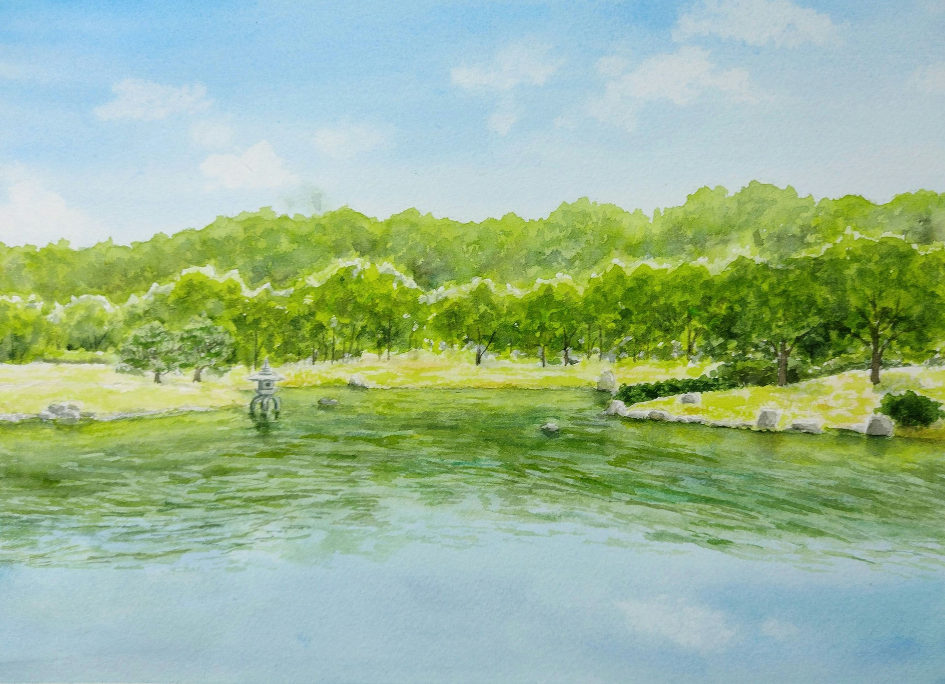 Forest & Lake