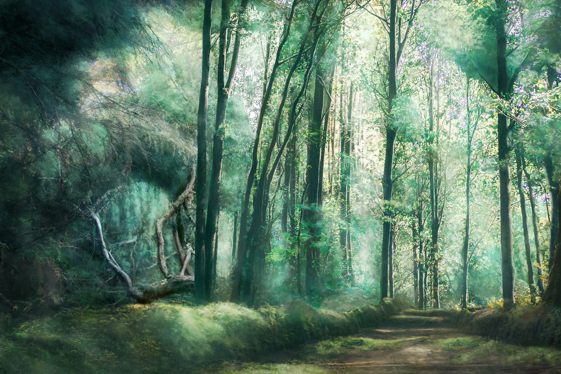 Day & Forest