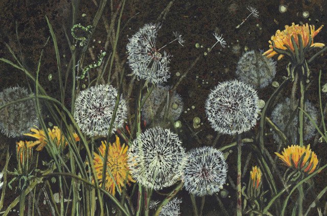 Caterpillar & Dandelion