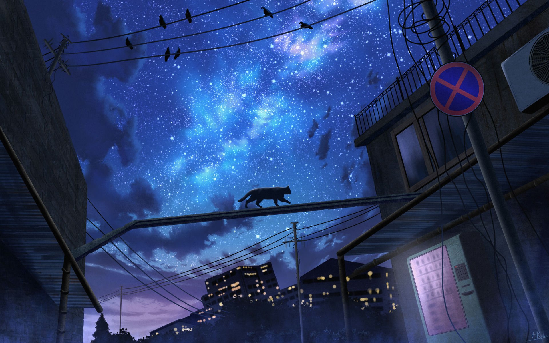 Bird & Black Cat