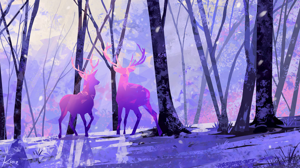 Animal & Antlers