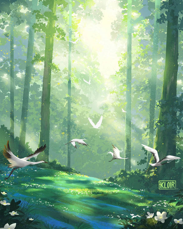 Bird & Crane (Animal)