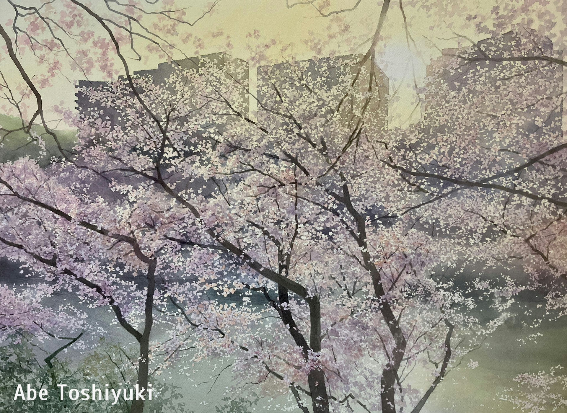 Abe Toshiyuki & Artist Name