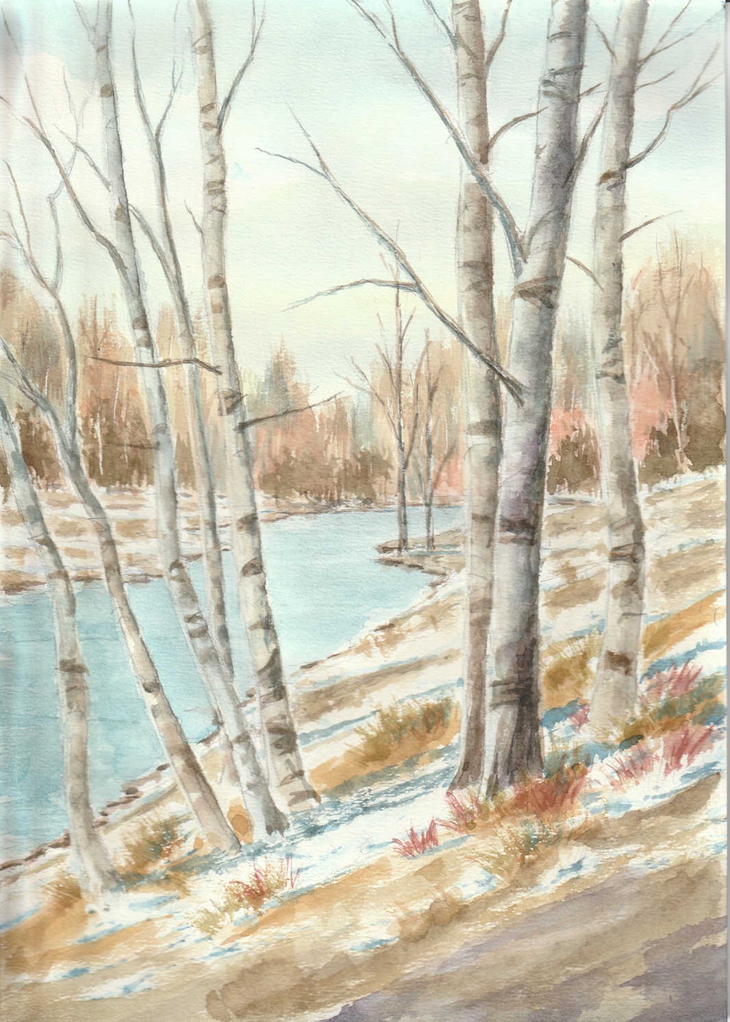 Bare Tree & Birch Tree