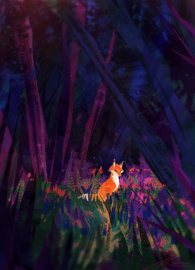 Animal Focus & Day