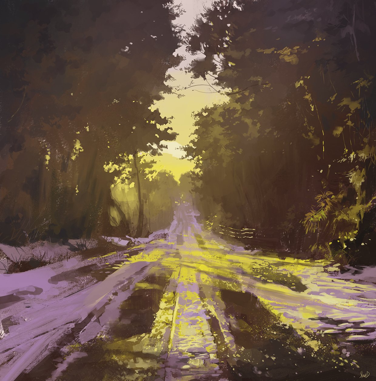 Day & Forest