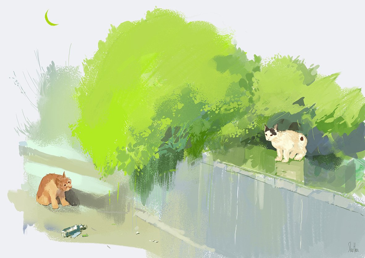 Border & Bottle