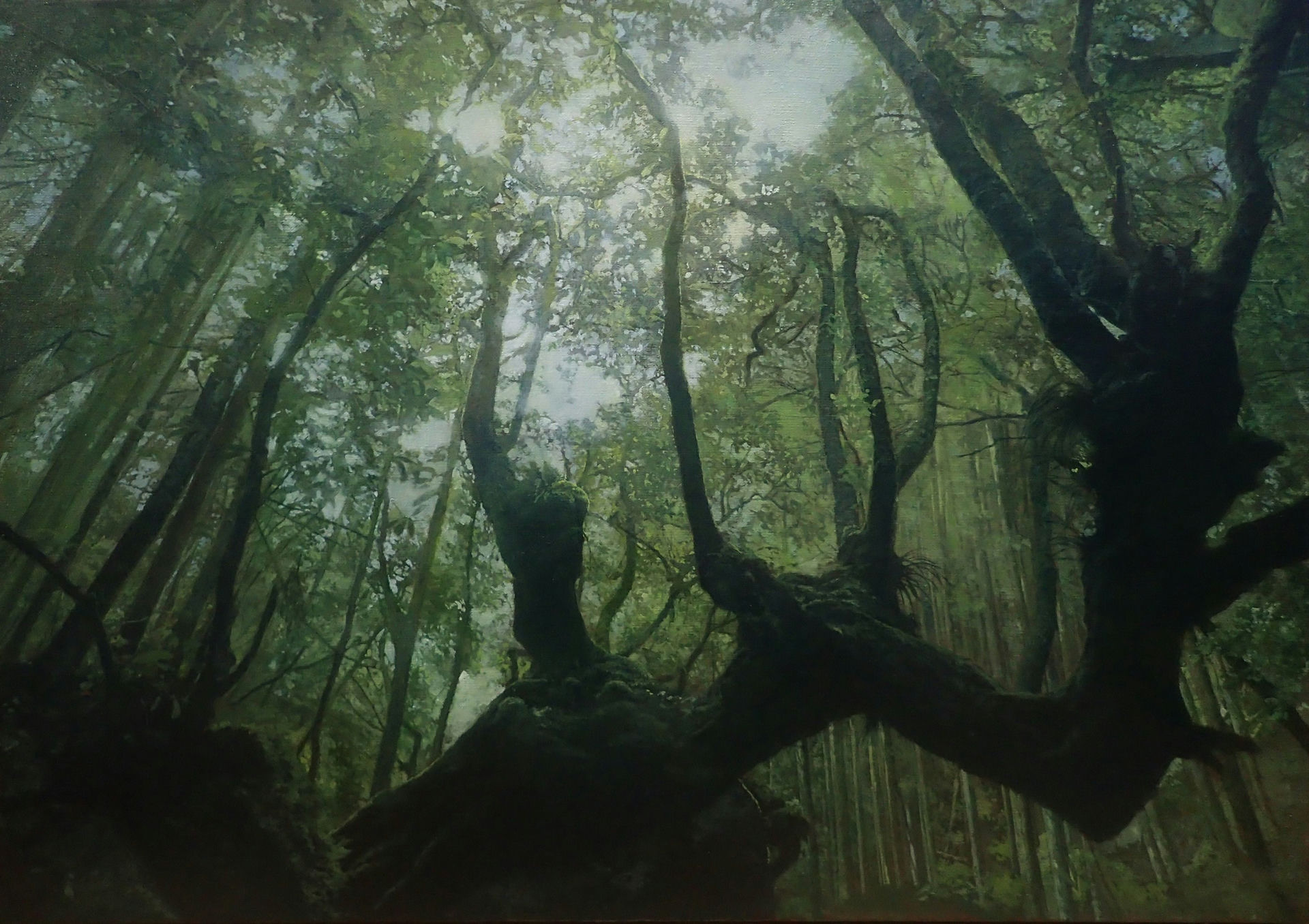Forest & From Below