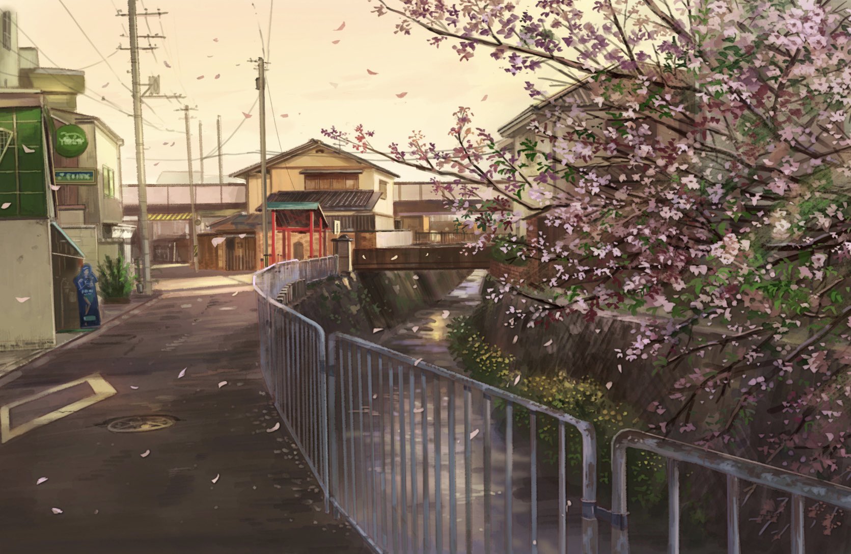 Bridge & Building