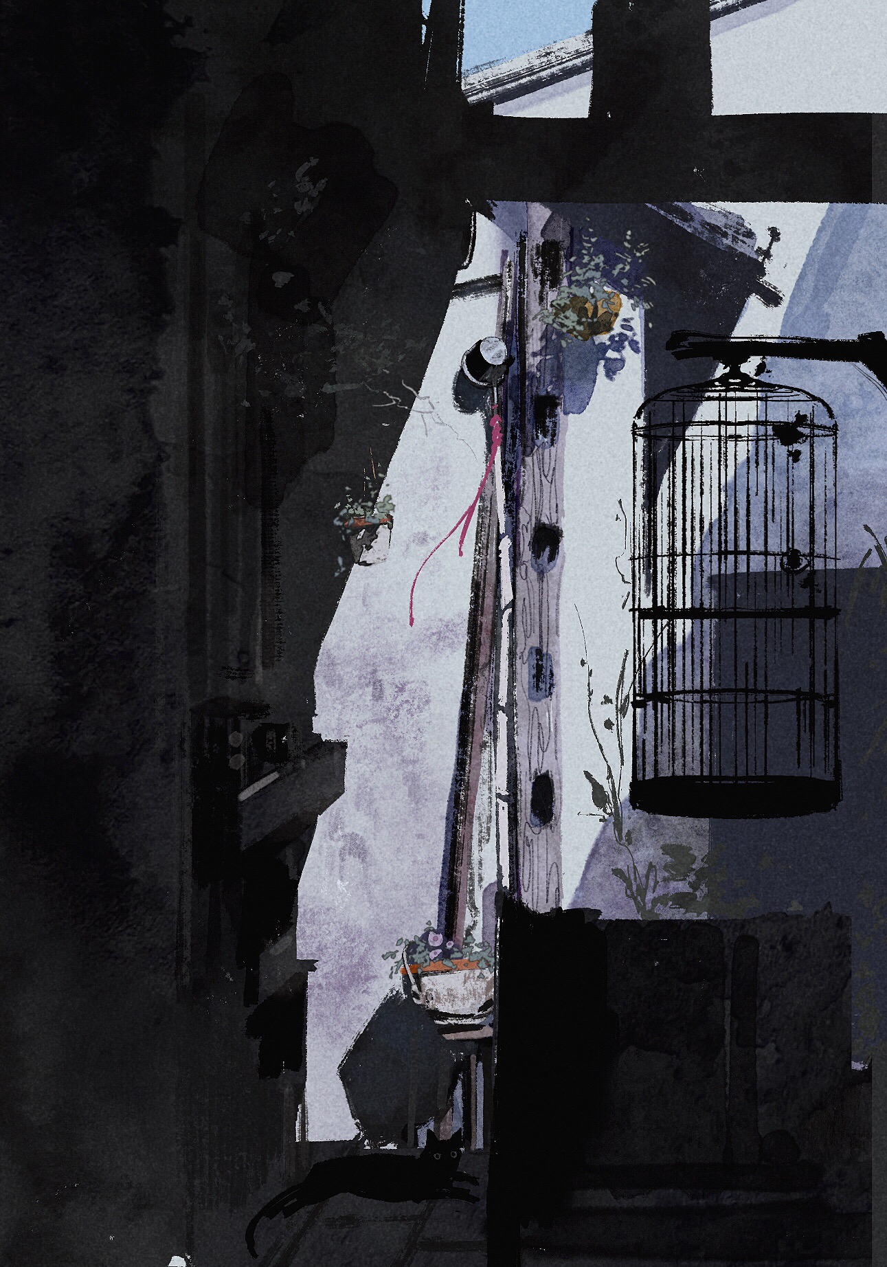 Birdcage & Black Cat