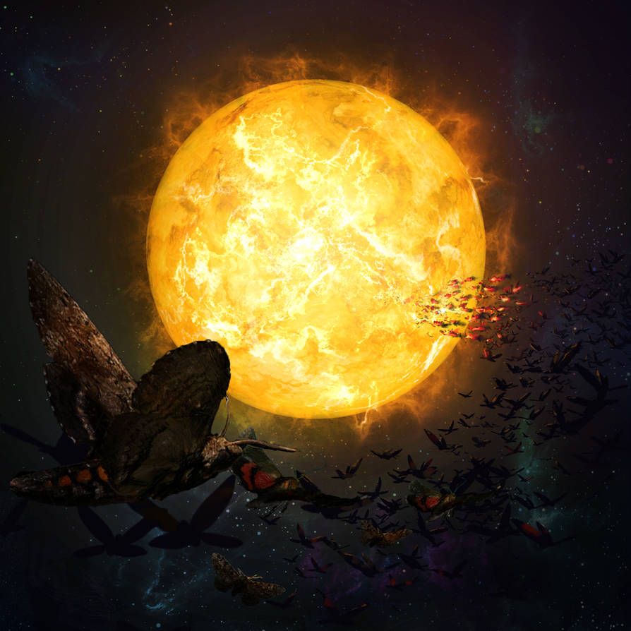 Bug & Burning