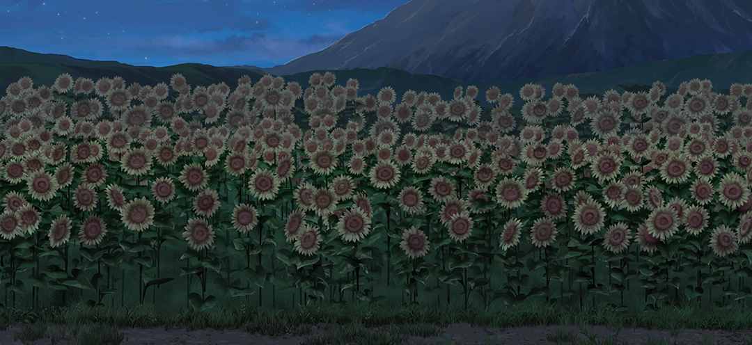 Field & Flower