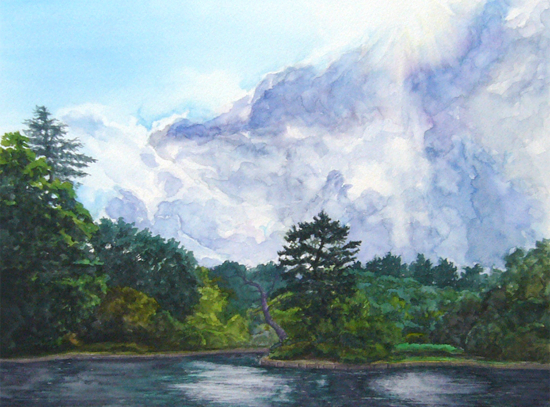 Cloudy Sky & Forest