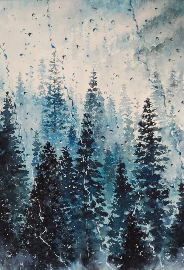 Conifer & Fog