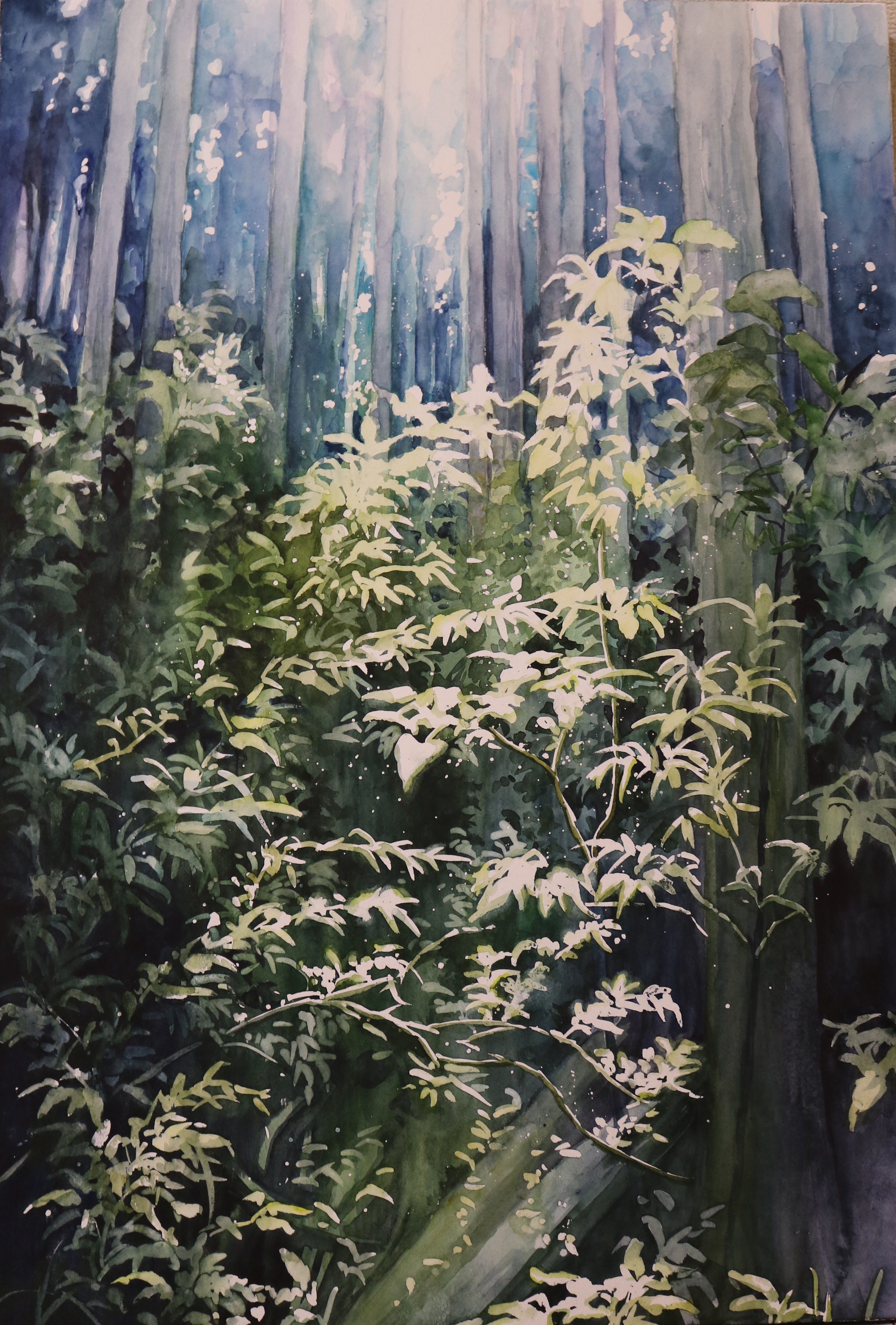 Absurdres & Forest