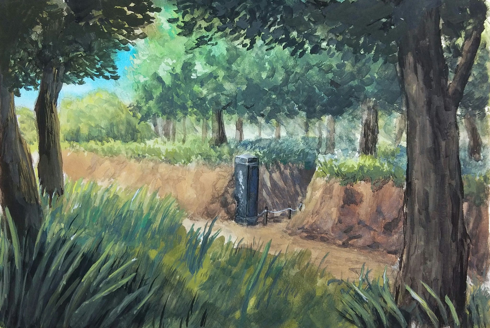 Day & Forest